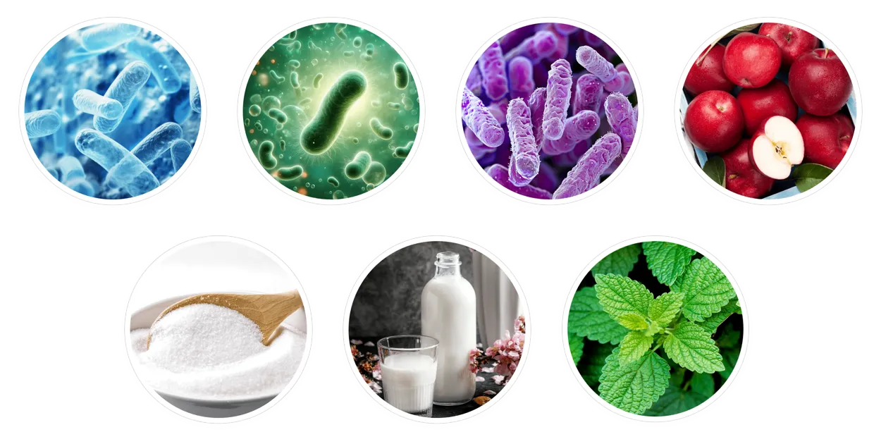 GumAktiv ingredients